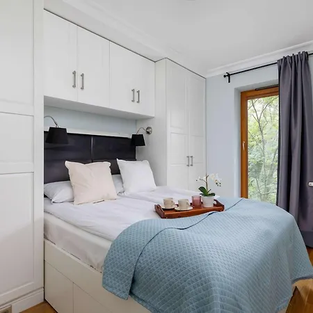 Air Conditioned In Cracow With Parking, Desk And Bathtub By Renters Krakau